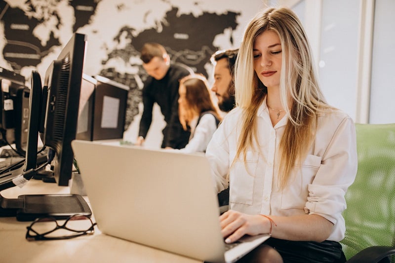 fiche metier business developer competences emploi